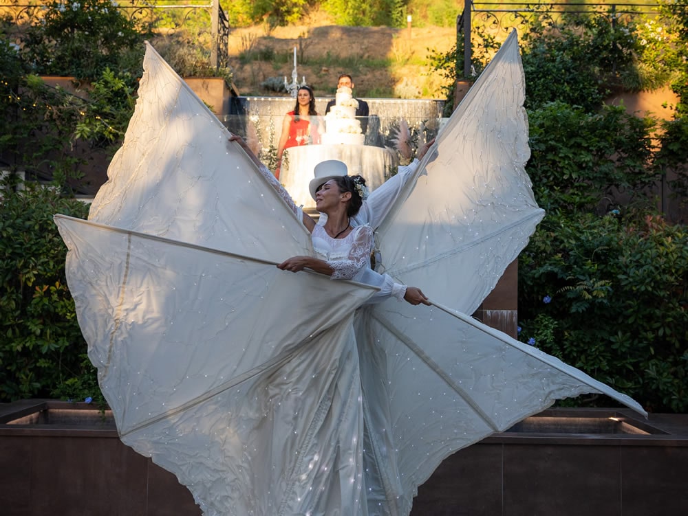 Esibizione Farfalle Luminose