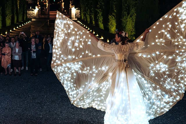 Spettacolo di Farfalle Luminose