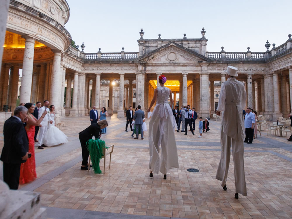 Trampolieri danzanti in bianco